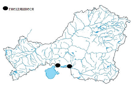 area